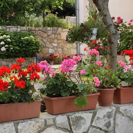 By The Sea Molunat, Dubrovnik - 8956 *