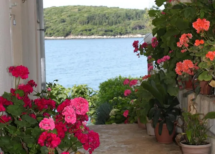 Lejlighed By The Sea Molunat, Dubrovnik - 8956 Molunat