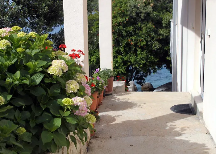 Lejlighed By The Sea Molunat, Dubrovnik - 8956