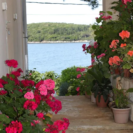 Appartement By The Sea Molunat, Dubrovnik - 8956 Molunat