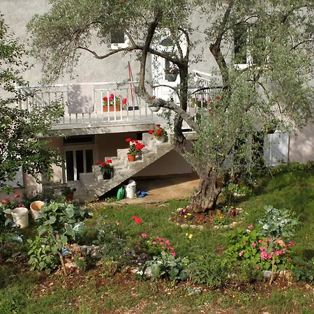 By The Sea Molunat, Dubrovnik - 8956