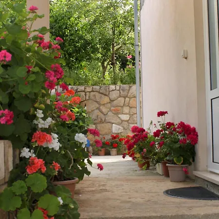 By The Sea Molunat, Dubrovnik - 8956 Appartement