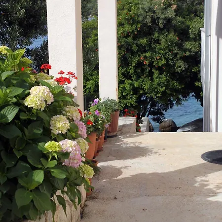 Appartement By The Sea Molunat, Dubrovnik - 8956