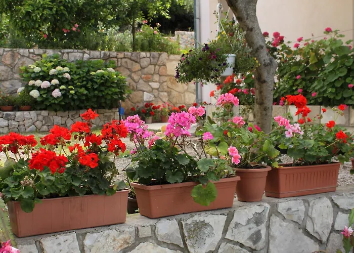 By The Sea Molunat, Dubrovnik - 8956 *